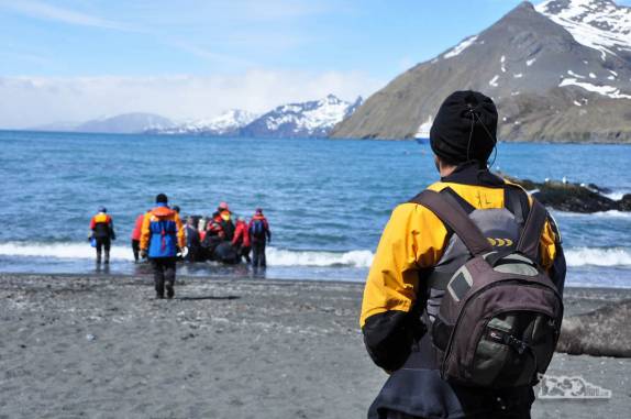 Observando os turistas começarem a voltar para o Sea Spirit, em Gold Harbour, na Geórgia do Sul